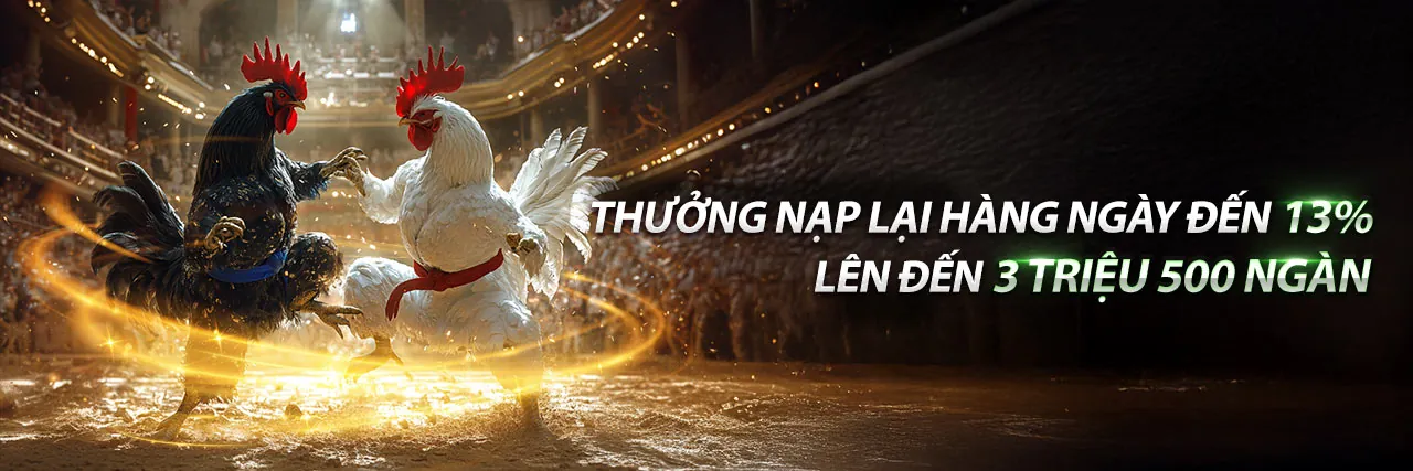 Đá gà trực tiếp KFC – Sân đấu kịch tính